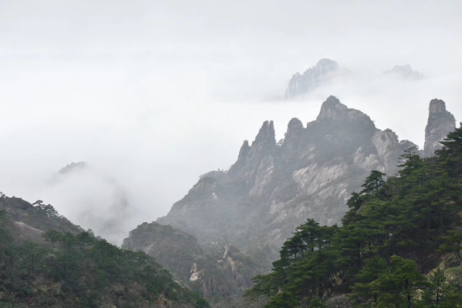 风雨兼程五春秋?一路高歌写辉煌 --峰工电气五周年华诞之黄山行